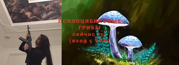 соль ск Чекалин