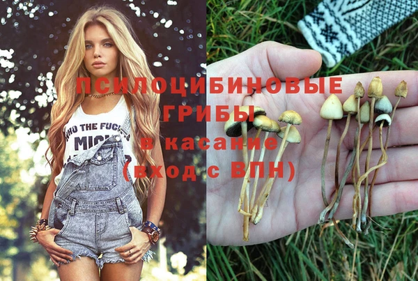 кристаллы Шали