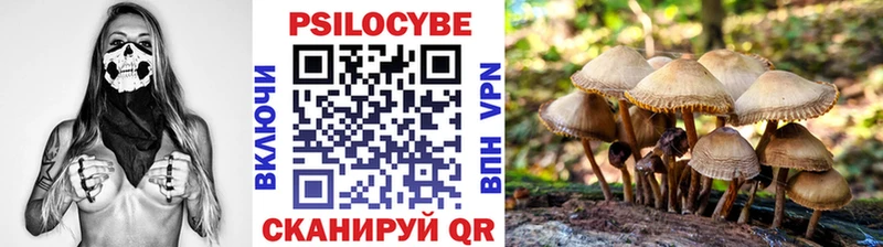 Купить где  Новохопёрск  Галлюциногенные грибы Psilocybine cubensis 