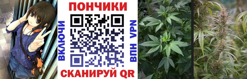 Купить Новохопёрск Конопля SATIVA & INDICA